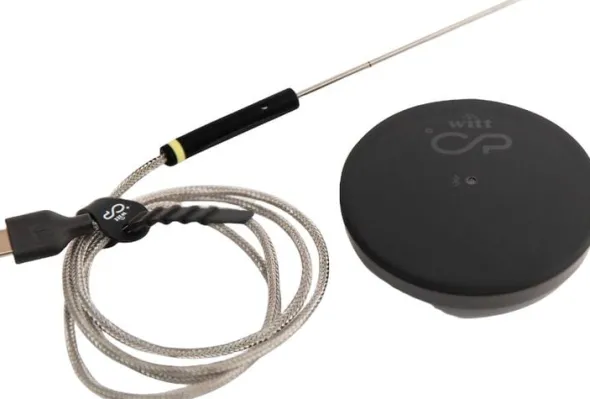 Witt CookPerfect Comfort Single Frying thermometer Black