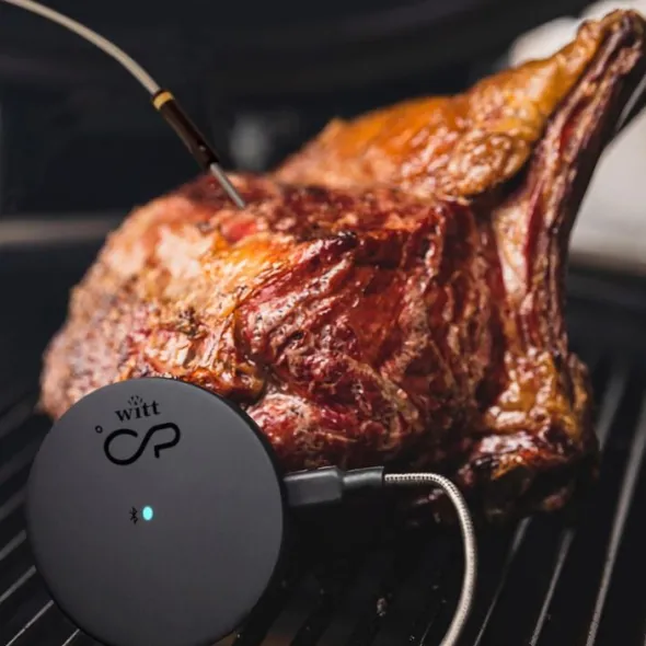 Witt CookPerfect Comfort Single Frying thermometer Black